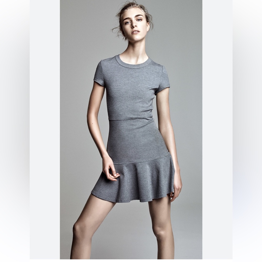 Aritzia Sunday Best Grey Dress